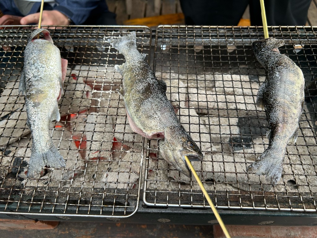 炭火の上で3本の魚が焼かれている。表面に振り塩が光り、炭の赤い熾がのぞく（藍鱗）