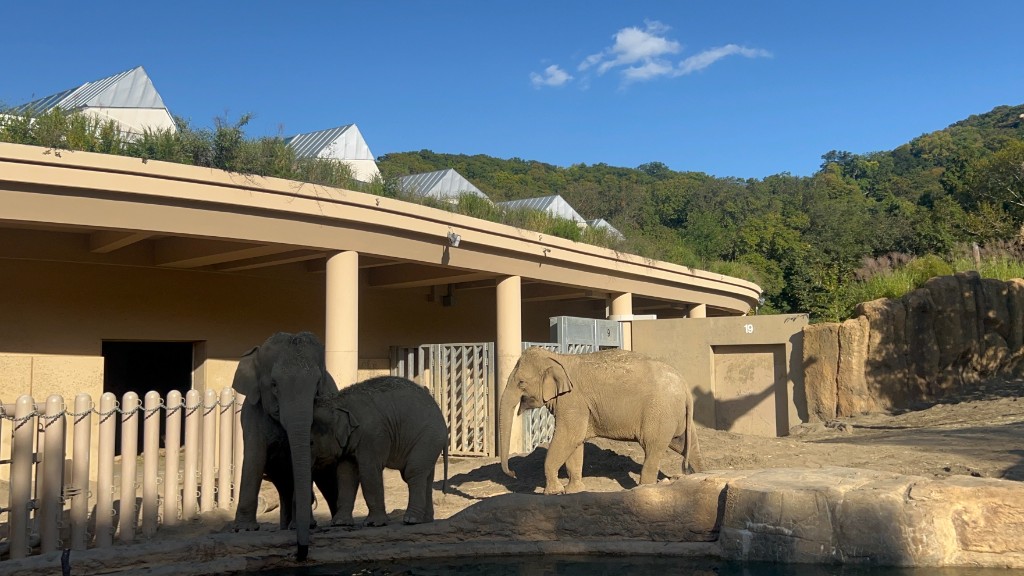 動物園のゾウの展示のイメージ