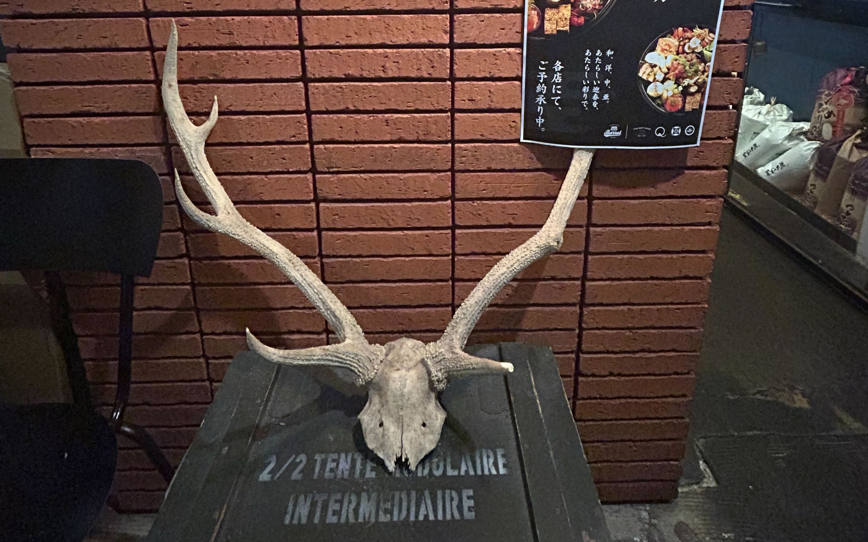 【札幌駅】シックでモダンな『ザ・ミートショップ』で味わう本格ジビエとウイスキー